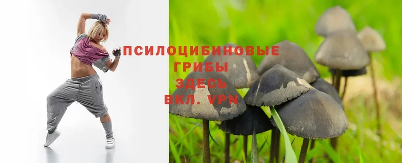 хочу   Островной  Галлюциногенные грибы Magic Shrooms 